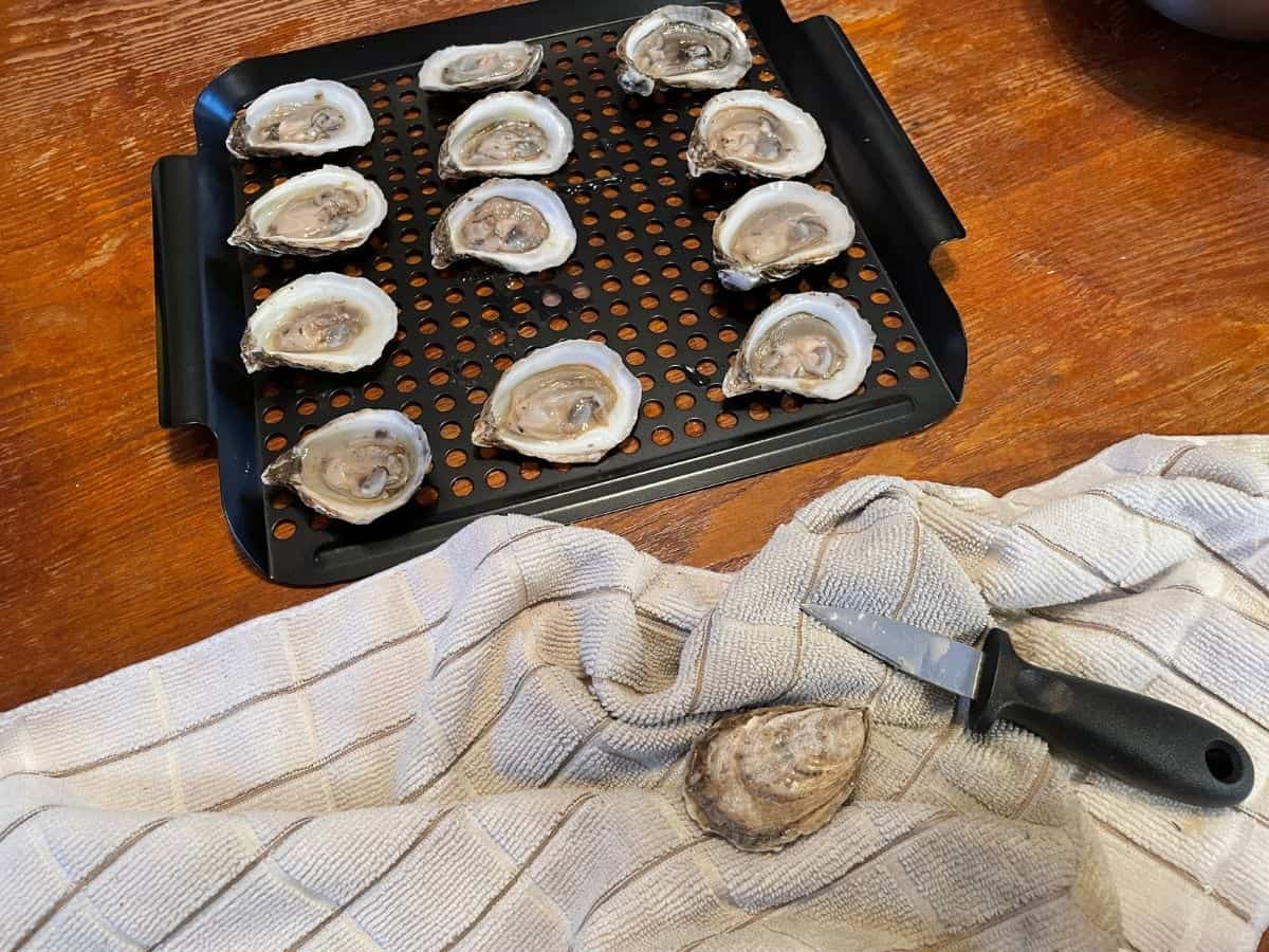 shucked oysters on grill tray and oyster on a towel with oyster shucker