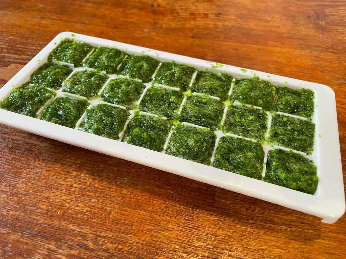 sofrito in white ice tray to freeze